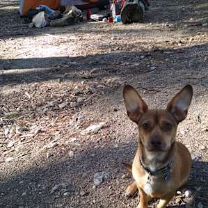 Gould Mesa Trail Camp