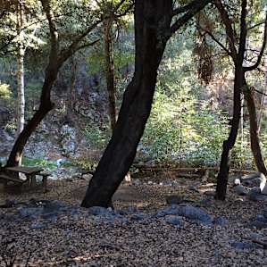 Perfect spot to set up camp.