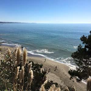 View of the Beach from the trail