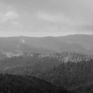 Morning after Rain