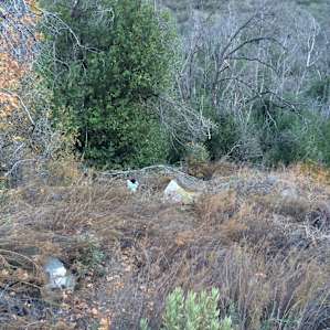 My tent is the center of this photo, one the bottom left is a stone memorial sign for someone dated back to 1967. This was really a beautiful area and there's a creek just on the other side of my tent that I could listen to.