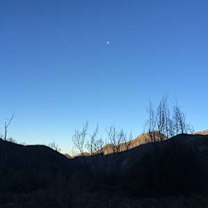 I really like HipCamp's campaign "finding yourself outside."(Great Video HipCamp!) That is my favorite part about camping/hiking, especially waking up in the morning. Here is a photo of the moon greeting me on my cold morning at Tom Lucas.