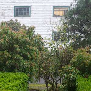 Stargazer Carriage House