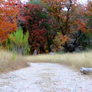 Lost Maples Hike In Campground