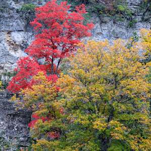Lost Maples Hike In Campground