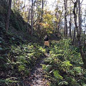 Torreya Campground
