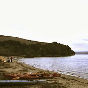 Tomales Bay
