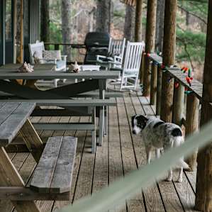 Porch with Maggie.