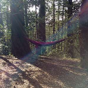 Pantoll Campground