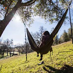 There are two trees nearby the tent platform that are PERFECT for setting up a hammock.