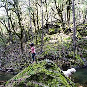 Rachael's daughter, Sharene, and Zoltan showing us how to navigate the swimming hole.
