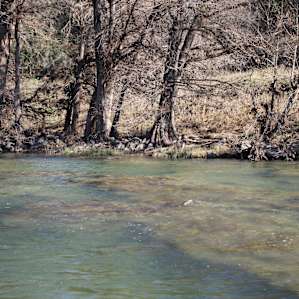 Perfect little swimming hole.