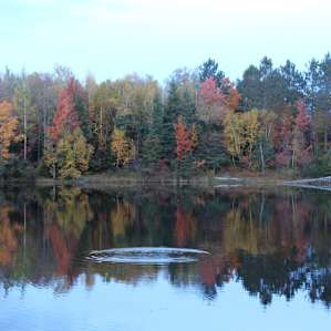 Perfection in the fall