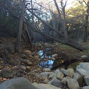 Creek