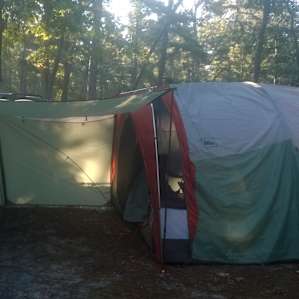 Lots of room for a BIG tent in Brendan Byrne. Pets are allowed, too.