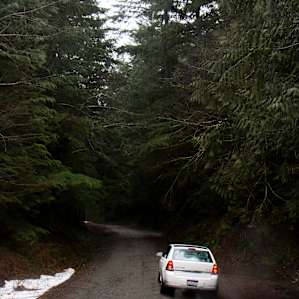 Up the road from the campground. Early February.