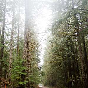 Tinkham Campground