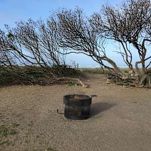 West side site