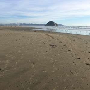 Toward Morro Rock from beach at camp