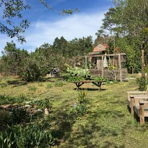 Yard with chair, tables and pond.
