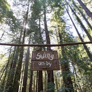 Under the towering trees is a swing that you'll have a hard time pulling yourself away from.