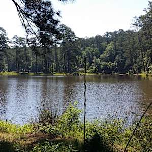 Clear Springs small lake @ Clear Springs Campground - a USFS campground near Roxie, MS between Bude and Natchez, MS off Hwy. 84/98.