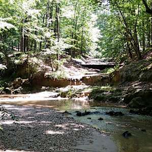 One of the creeks just near our campsite @ Clear Springs Campground - a USFS campground near Roxie, MS between Bude and Natchez, MS off Hwy. 84/98.