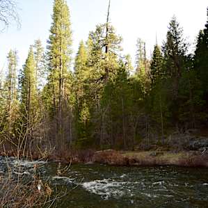 Merced River, easily accessible from many sites in Loop A