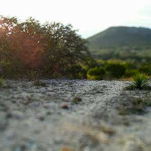 Trails at Hill Country SNA vary in difficulty from very relaxing hills to steep climbs. Miles and miles keep it interesting with great overlooks and vegetation.