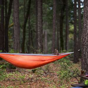 If you own a hammock, this is the place to bring it