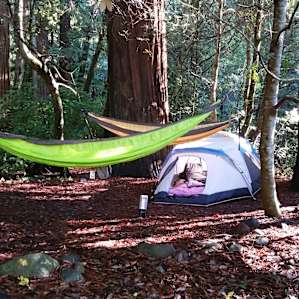 Jedediah Smith Redwoods Jedediah Smith Redwoods