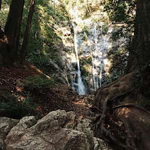 Pfeiffer Falls