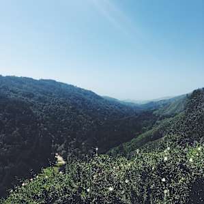 The Valley View!