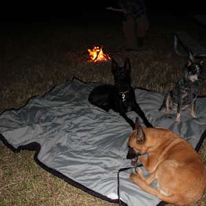 Around the campfire with my dogs. Christmas 2014.