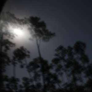 Full moon at Long Pine Key Campground.