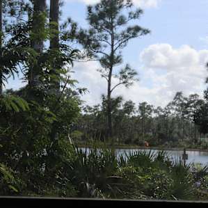 View of the lake at LPK Campground.