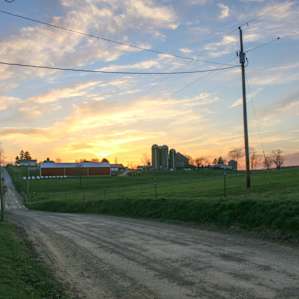 Incredible sunrise behind the neighbor's farm.