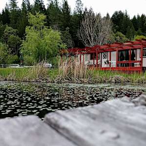The Pond House