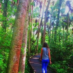 The boardwalk. Smells like tropical.