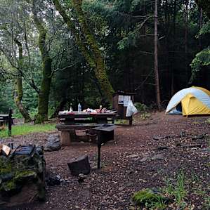 Site #10