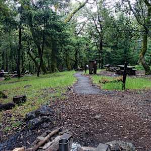 View from site #10