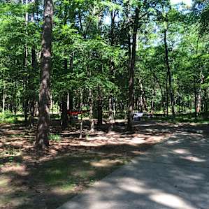Spacious camp sites. Took the tent down, but theres a nice spot for it directly in front of the hammock
