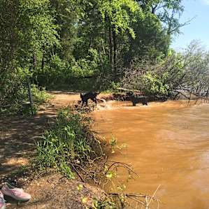 Found a cute little area by the water. Park by the overflow car spot and there's a small trail. We had it to ourselves for about 1 1/2 hrs