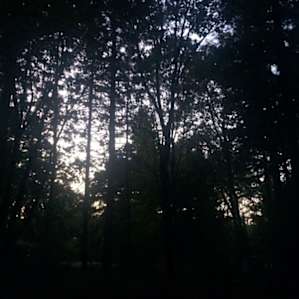 Wyeth Campground