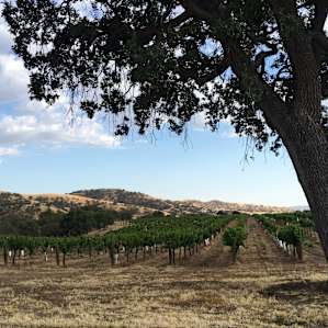 Pianetta Ranch & Winery Camp