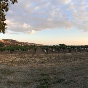 Pianetta Ranch & Winery Camp