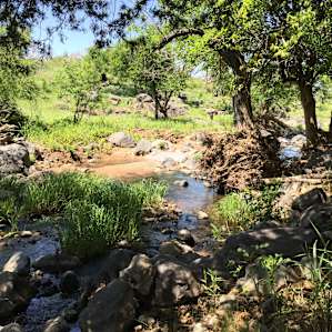 The stream nearby our campsite.