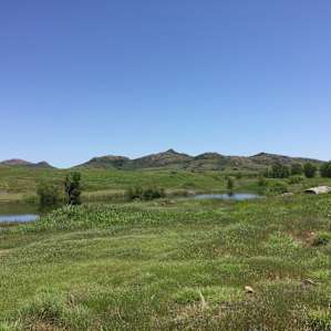 Another view of the pond.