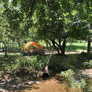 View of the campsite on the north side of the creek.