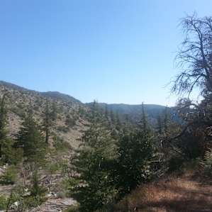Coldwater Canyon Yellow Post Sites